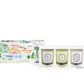 COFANETTO 3X70g MINI CANDELE EDIZIONE LIMITATA ESTATE