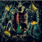 ZEST DI SORRENTO eau de parfum intense